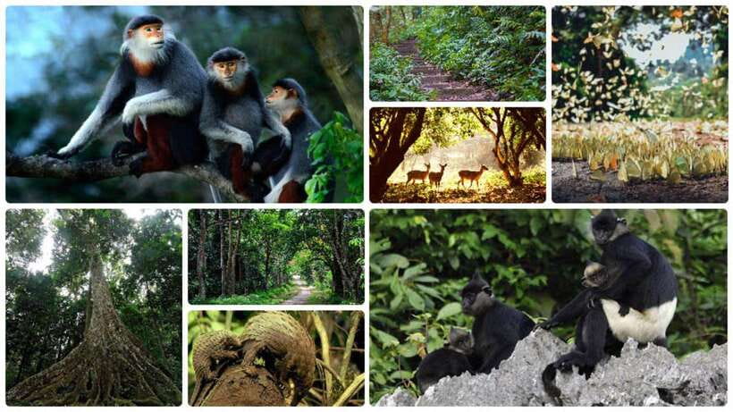 Cuc Phuong National Park Adventure: Nature Tour in 1 Day - Key Points