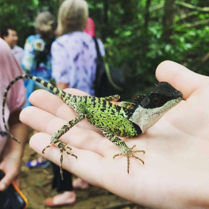 Cuc Phuong National Park Adventure: Nature Tour in 1 Day - Lunch in the Park