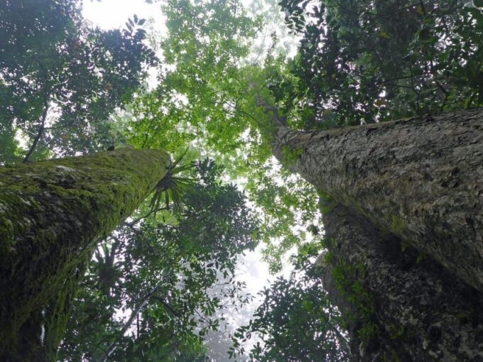 CUC PHUONG NATIONAL PARK - VAN LONG DAI LY TOUR DAY TRIP - Booking Information