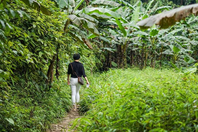 Cuc Phuong National Park - Van Long Day Trip From Hanoi - Exploring Cuc Phuong National Park