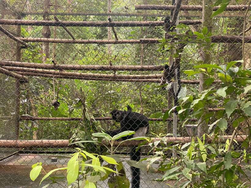 Cuc Phuong National Park - Van Long Day Trip From Hanoi - Frequently Asked Questions
