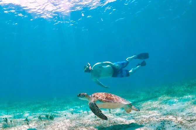 Culebra Snorkel and Turtle Adventure with Transport - Exploring the Itinerary in Detail