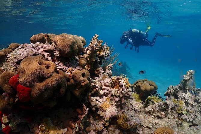 Culebra Snorkeling Day Experience - Included Amenities