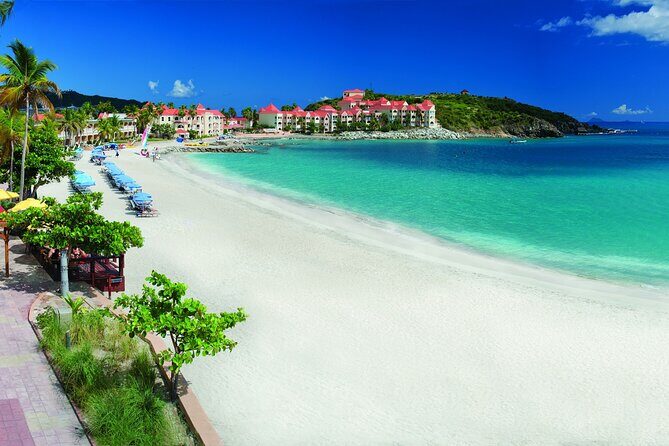 Culinary Culture Delight Top Seller - Authenticity and Traveler Feedback