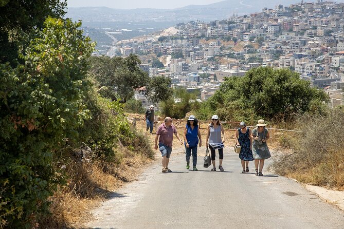 Culinary Day Tour of the Galilee - Tasting Organic Vineyard Wines