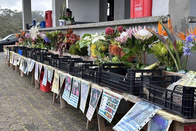 Culinary "Food & (E) Bike" Tour - Introduction