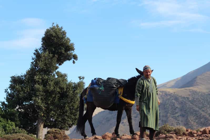 Cultural Day Trip to the Atlas Mountain From Marrakesh - Itinerary and Activities