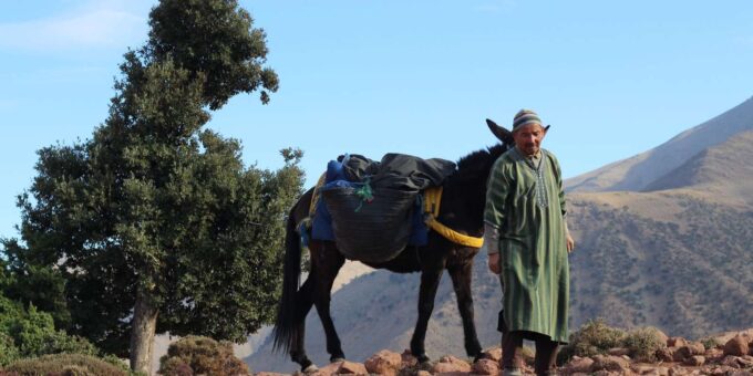 Cultural Day Trip to the Atlas Mountain From Marrakesh - Taking in Berber Culture