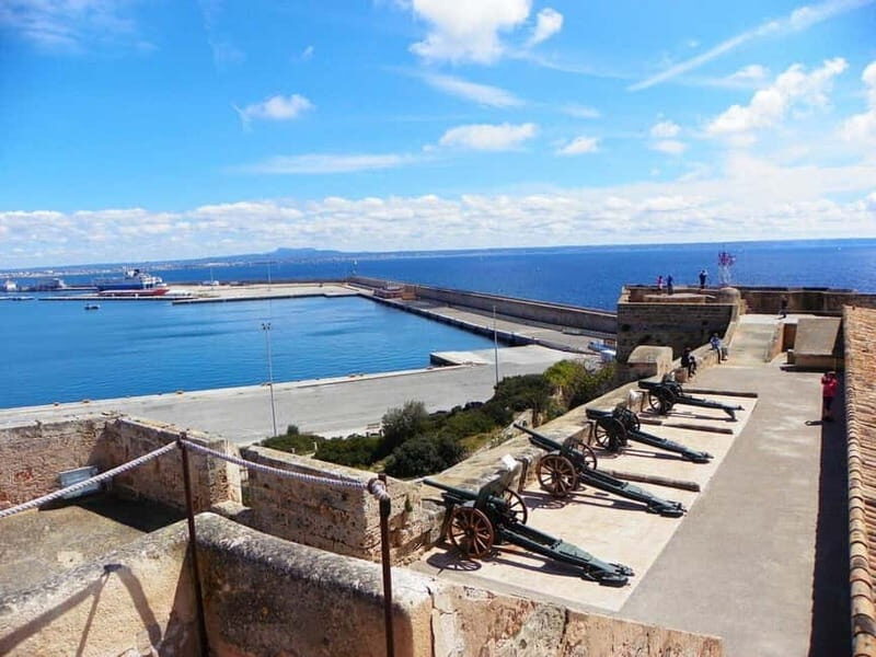 Cultural & gastronomic package: San Carlos Museum + Pa amb oli & Sangria - A Closer Look at the Experience