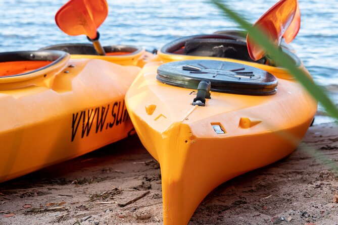 Cultural Kayak Tour in Stralsund - Customer Feedback