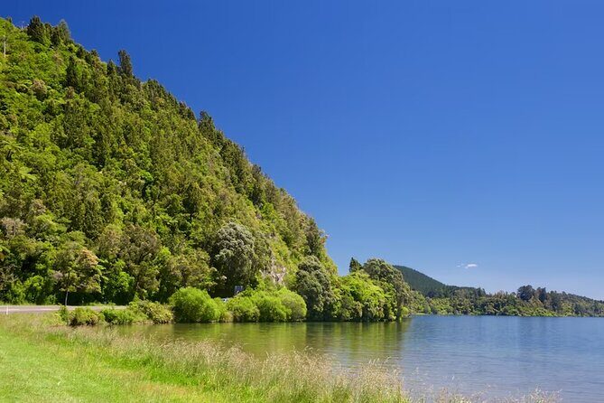 Cultural Rotorua Private Tour Tauranga Port. Whakarewarewa Ticket - A Deep Dive into the Experience