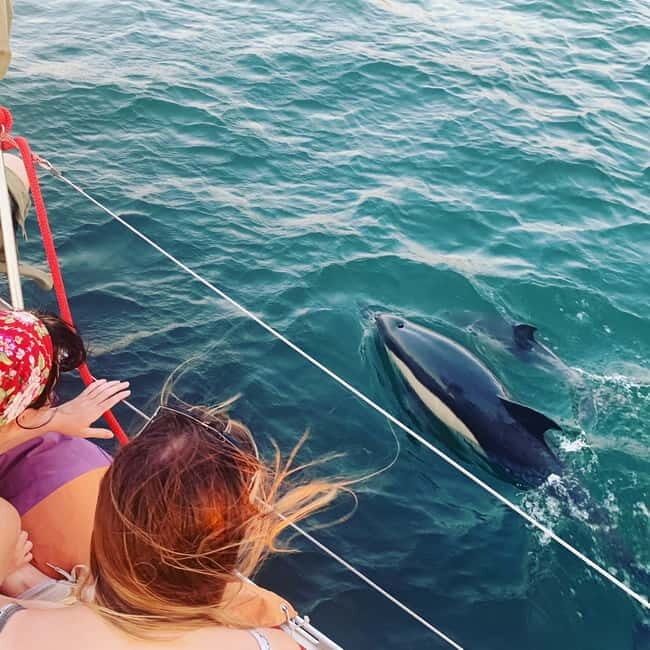 Cultural Sailing Tour in Lisbon - From Meeting Point to Voyage: What to Expect