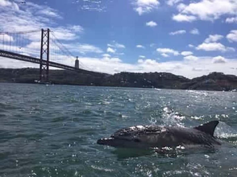 Cultural Sailing Tour in Lisbon - Final Thoughts