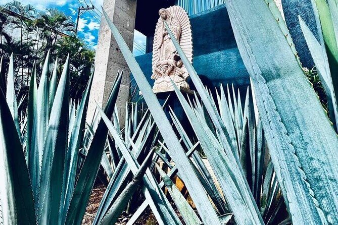 Cultural tour, city fields and distillery - Key Points