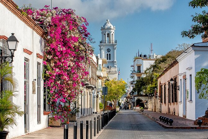 Cultural VIP Private Tour From Santo Domingo - Participant Suitability