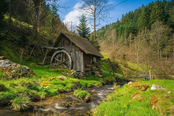 Culture and Traditions Hike Through the Black Forest With a Local - Good To Know