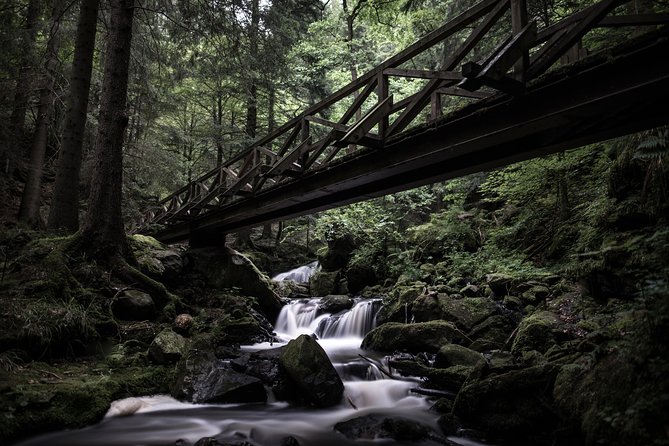 Culture and Traditions Hike Through the Black Forest With a Local - The Sum Up