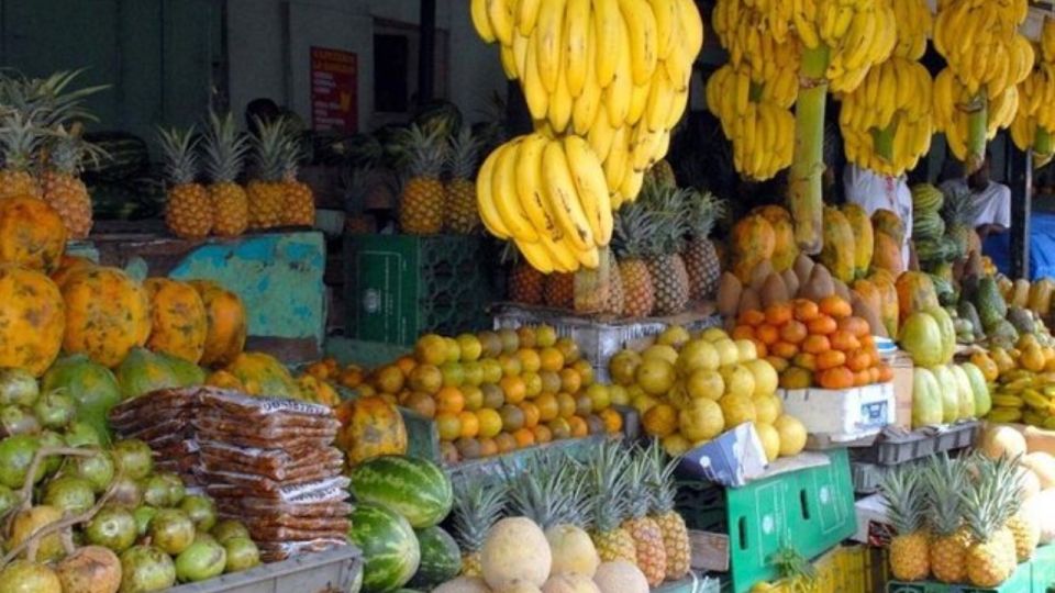 Culture Half Day Tour in Higuey From Punta Cana - Itinerary Breakdown