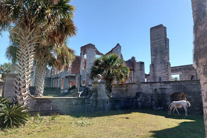 Cumberland Island Walking Tour - Price and Value