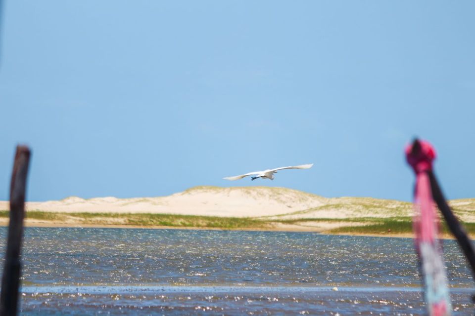 Cumbuco: Beach Trip With Pickup, Swimming, and Activities - Local Attractions