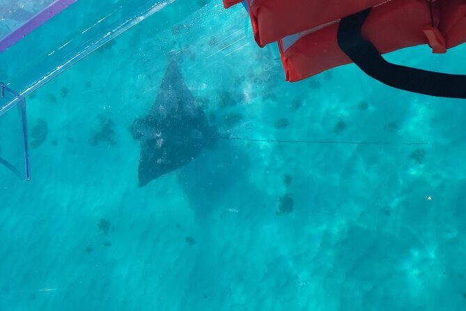 Curaçao ClearBoat Snorkel Tour Daaibooi, Porto Marie & Cas Abao - Authentic Perspectives from Past Travelers