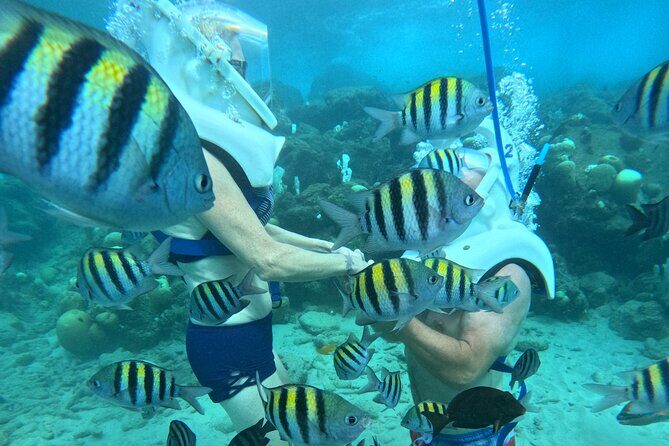 Curacao Helmet Diving-Walk the Ocean Floor, No Swimming Required - The Experience in Context