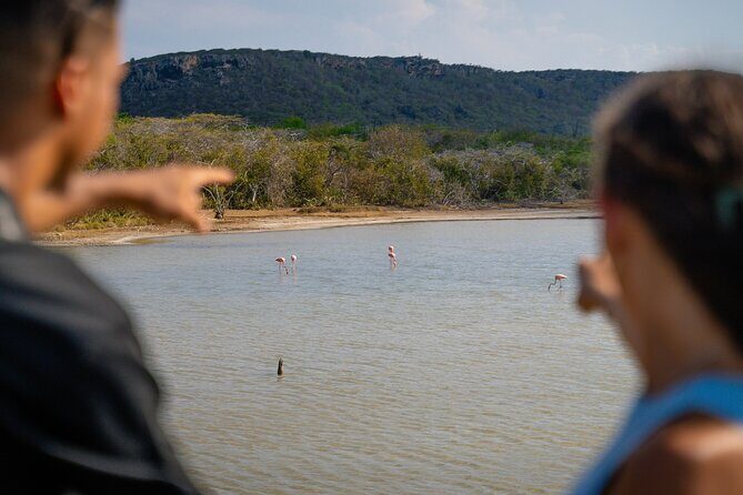 Curaçao Island Tour - Authentic Experiences and Notable Highlights