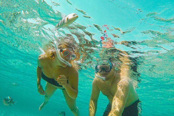 Curacao: Private Boat Tour Half Day - The Sum Up: Why This Tour Might Be Your Best Choice in Curacao