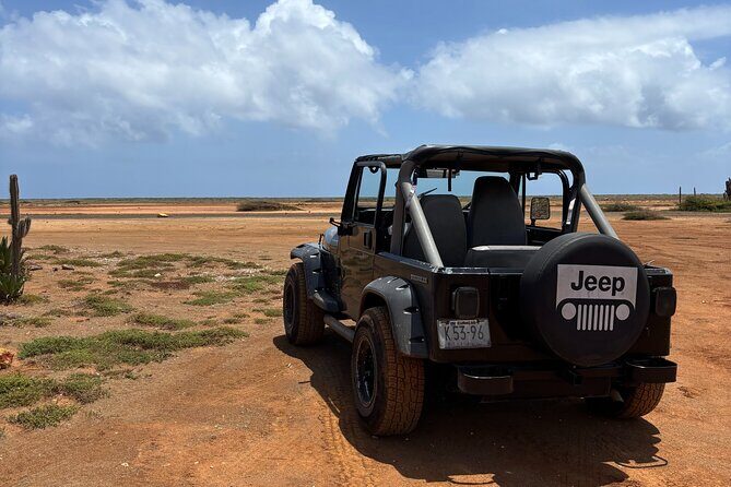 Curacao Private Jeep Off-Road Tour to Swimming with Sea Turtles - Key Points