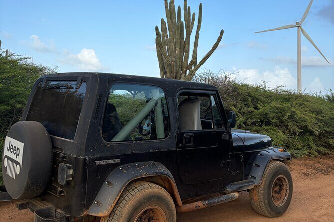 Curacao Private Jeep Off-Road Tour to Swimming with Sea Turtles - Final Thoughts
