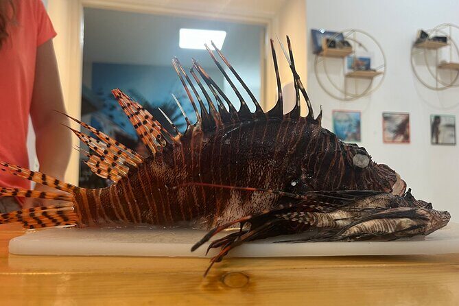 Curaçao Royal Trip - Is It Worth the Price?