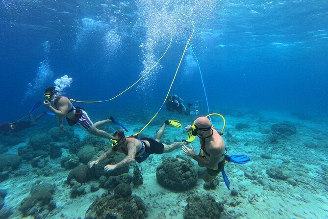 Curacao Sea Trek Snuba Combo Walk Tour and Dive the Ocean - What the Experience Looks Like