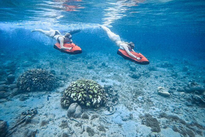 Curaçao Seabob in Playa Piskado Adventure with Sea Turtles - Exploring Curaçao’s Underwater World: Seabob Adventure with Sea Turtles