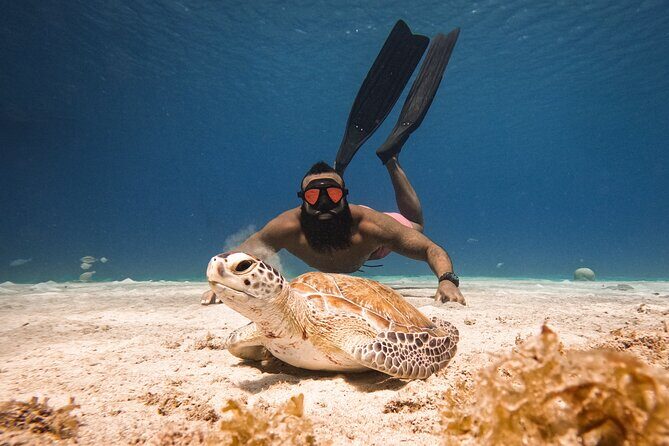 Curaçao Seabob in Playa Piskado Adventure with Sea Turtles - What is the Curaçao Seabob Tour?