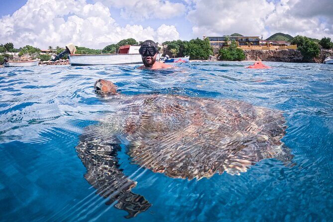 Curaçao Seabob in Playa Piskado Adventure with Sea Turtles - The Value of This Tour