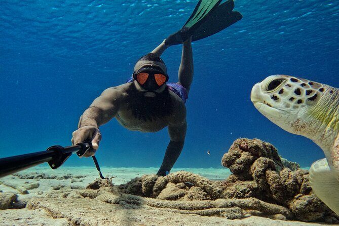 Curaçao Seabob in Playa Piskado Adventure with Sea Turtles - Meeting Points and Practical Details