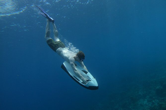 Curaçao Seabob Tour (by Bearded Butlers Curaçao) - FAQs