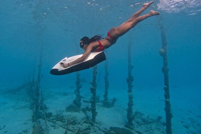 Curaçao Seabob Tugboat Adventure (Andymaxadventures Curaçao) - What Is the Curaçao Seabob Tugboat Adventure?