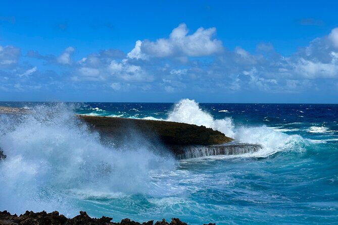 Curacao's Beaches & Blowholes: Exclusive 4-Hour Private Tour - The Value of a Private, Customizable Tour