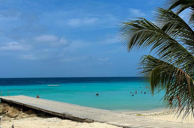 Curacao's Beaches & Blowholes: Exclusive 4-Hour Private Tour - FAQ