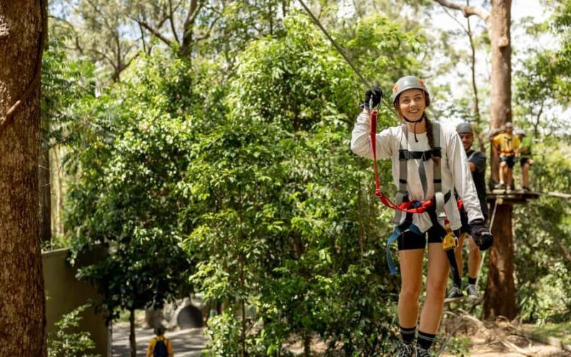 Currumbin: Treetop Challenge Adventure Park - Who Will Love This?