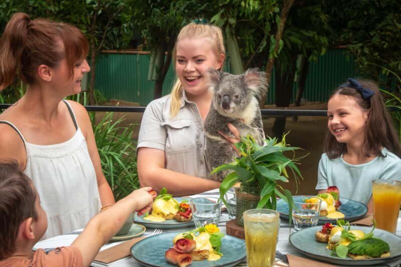 Currumbin Wildlife Sanctuary Entry Ticket - Key Points