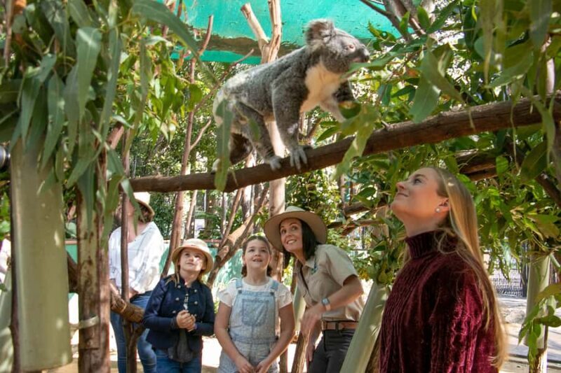 Currumbin Wildlife Sanctuary Entry Ticket - FAQ Section