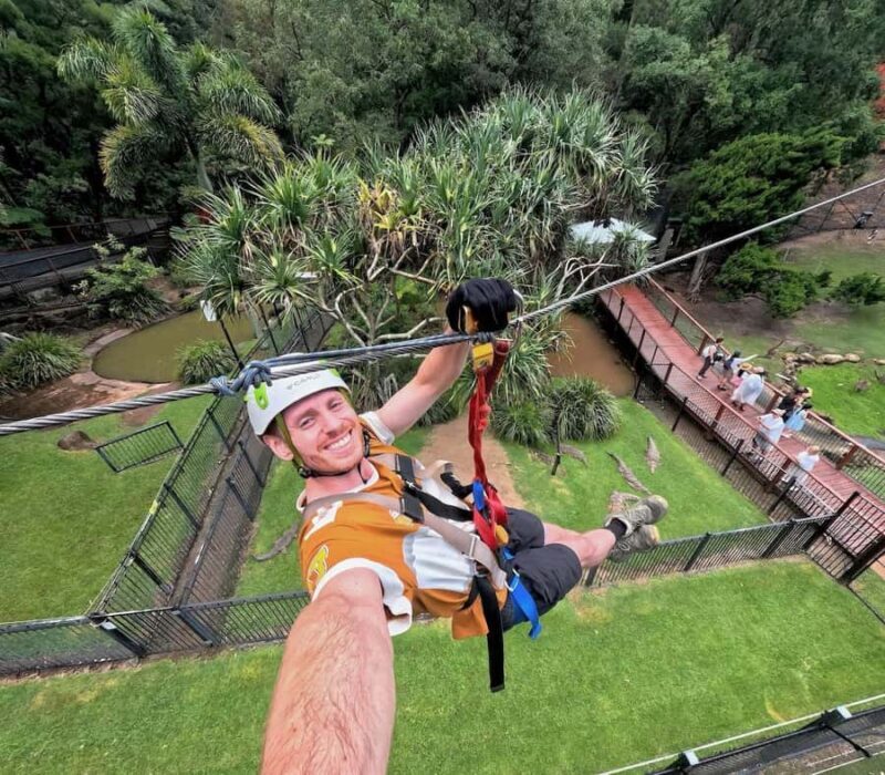 Currumbin Wildlife Sanctuary & TreeTop Challenge Combo - A Balanced Day of Wildlife and Adventure