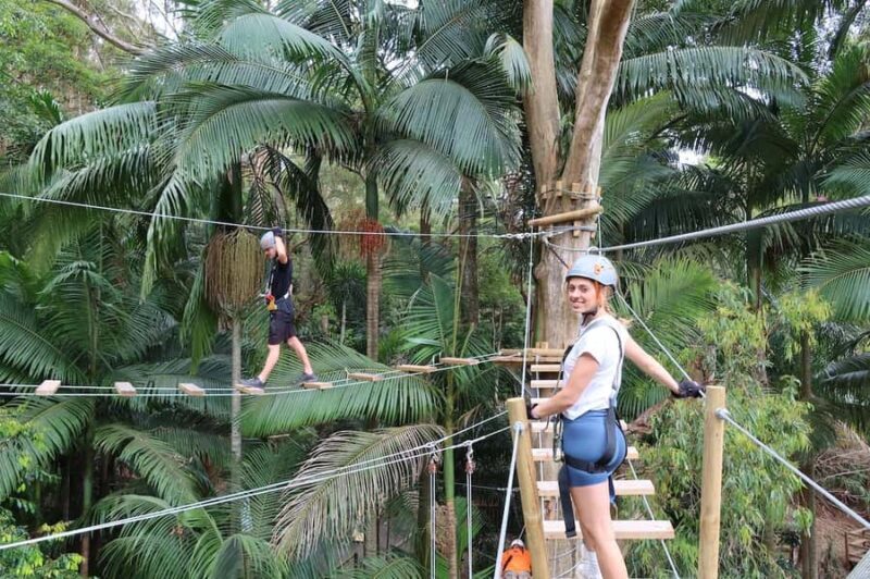 Currumbin Wildlife Sanctuary & TreeTop Challenge Combo - The Thrill of the TreeTop Challenge