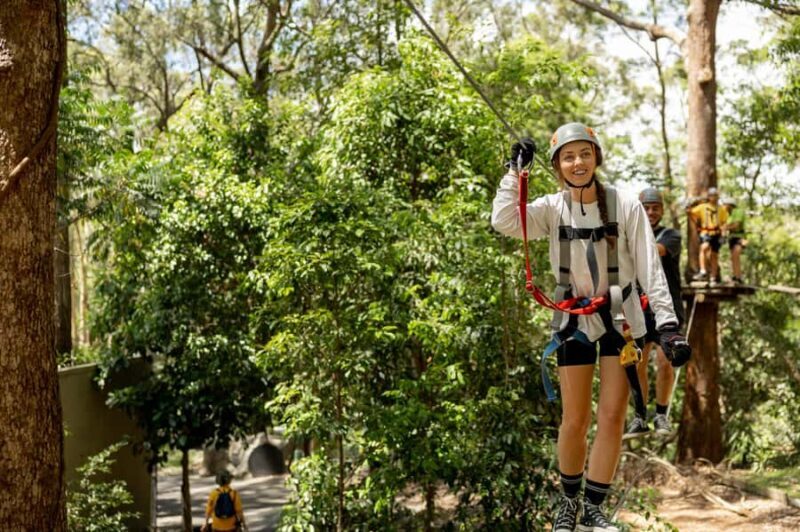 Currumbin Wildlife Sanctuary & TreeTop Challenge Combo - Authentic Experiences and Review Highlights