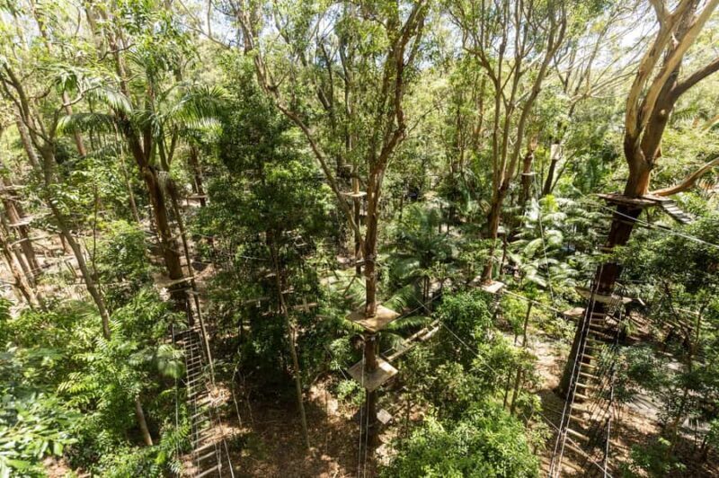 Currumbin Wildlife Sanctuary & TreeTop Challenge Combo - The Sum Up