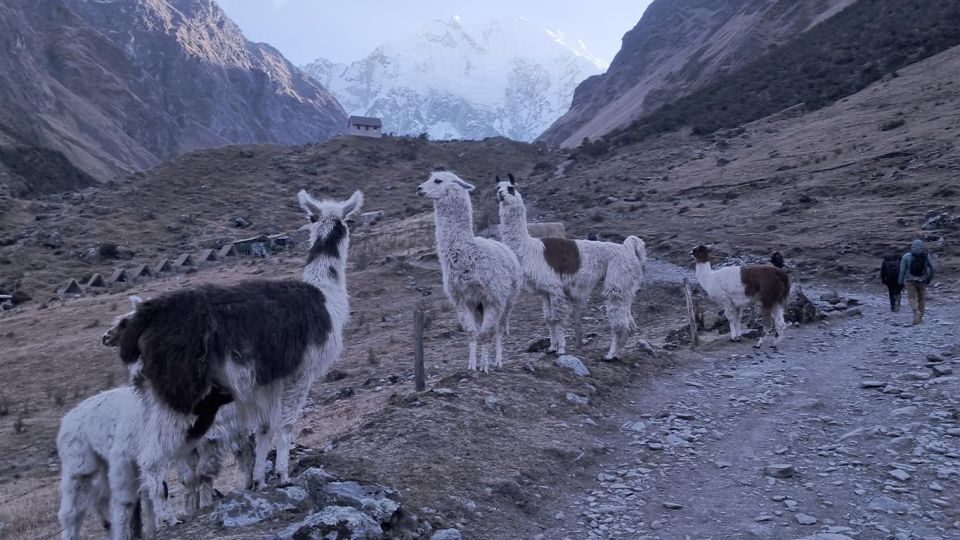 Cusco 3 Days: Sacred Valley, Humantay Lake & Machu Picchu - What to Expect