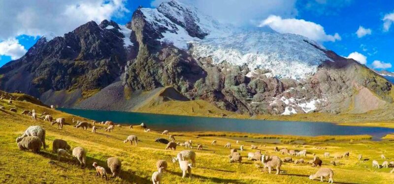 Cusco: 7 Lagoons of Ausangate Hiking Day Trip With Lunch - Highlights of the Lagoons