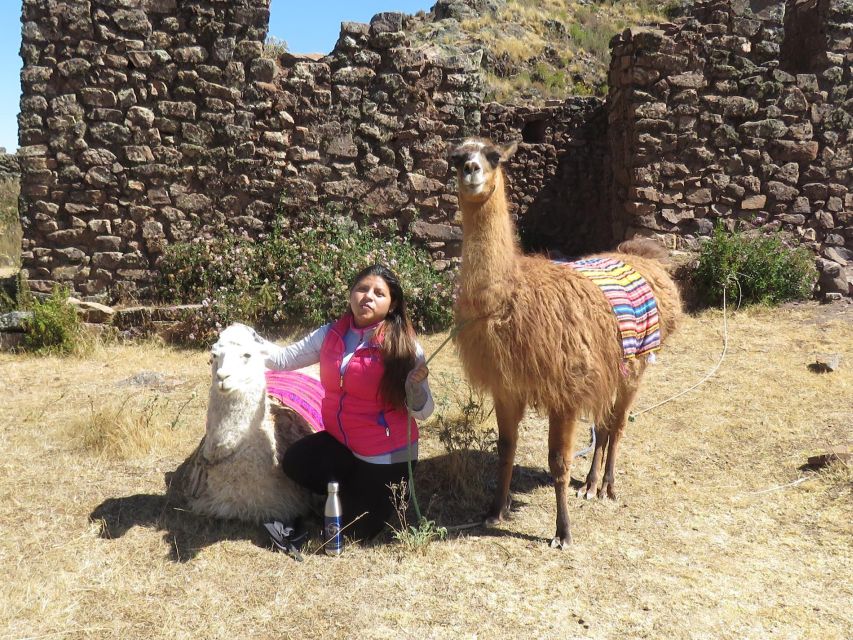 Cusco: Alpaca Therapy + Healing With Clay |Lunch - Private| - Important Information